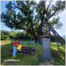 수원천로447번길 | 장안구점집 연경사에서 마음의 위로를 찾다