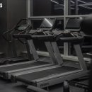 더그레이짐 이미지