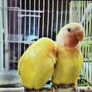 2023-0044 네이버블로그