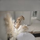 유앤아이의원 안산점 이미지