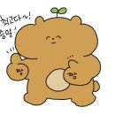 안경매니져반석점 이미지