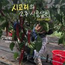 &lt;시고리의 2주 시골살이&gt; - ep 02. 서하의 낯선 이 / 서하다움 청년 레지던시_0725~0726