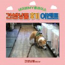 견생냥품 무인24시 창전동점 네이버블로그