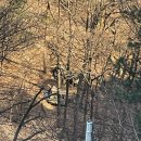 성민목장 | 서울 근교, 경기도 광주 곤지암 팀업캠퍼스 더포레스트 캠핑장 후기