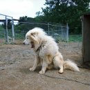 화성농장 이미지