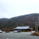 벽오동설렁탕 전문점