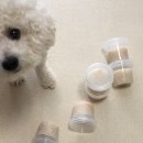 뽀미까까 이미지