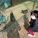 황포농장 이미지