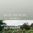 위드펫 빌리지 이미지