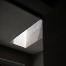 시기공추 이미지