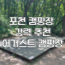 포천 어거스트 캠핑장 다녀온 후기! 애견동반캠핑장, 서울 인근 숲속 캠핑장