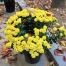 구지공원 이미지