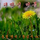 일편단심 민들레 / 조용필 이미지