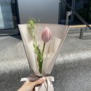연세꽃방
