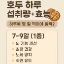 하루호두 이미지