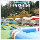 코알라캠핑장 이미지
