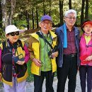 서울숲10 이미지