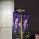 [공연] 엑디즈 콘서트 <Closed ♭eta: v6.0> 후기 240420 중콘