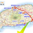 귤익는 마을 이미지