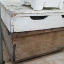 금당농장 이미지