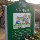 김영옥농장 이미지