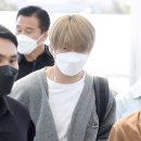 지성커텐