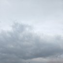 대원주유소 | 양주 드론봇 페스티벌 2025! 루시 신광일°1군단 군악대 공연 후기!