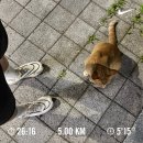 대현수지 | 이 날씨를 거절합니다