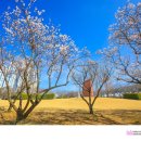 연지공원(조각공원) 이미지