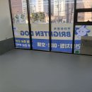 브라이튼독 이미지