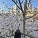 라인엑스피티스튜디오 | 압구정 pt 피지오스튜디오 3년차 피티로 코어 꽉 잡은 상체 루틴