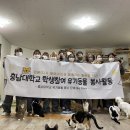 냥블리네