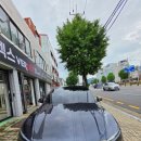 더브로오토썬팅