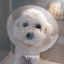 한림동물병원 이미지