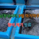 남창낚시터 이미지