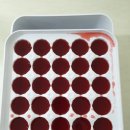 (주)참존푸드