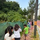 삼가초등학교 이미지