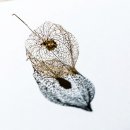 소중한이 이미지