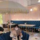 팬씨 | 범계 카페 후기 ) 특별한 이색데이트 팬씨