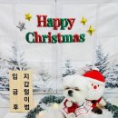 환해지개 이미지