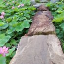 용정마을회관 이미지