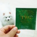 이지석본가 이미지