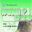 예원대학교 소나무길 | 처음이자 마지막 문정호의 방학 블로그 (4/4)