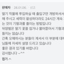 세포농장 | [오도맑농장] 뒤영벌 교체 및 사용후기