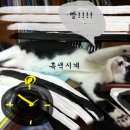 뭉치, 그루밍 이미지