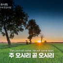 오시리 - 제주시 | 오시리