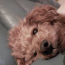 몽개몽개 이미지