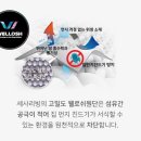 세사리빙 이미지