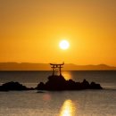 도마샌드 이미지