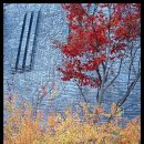 김해박물관(타고가야) 이미지